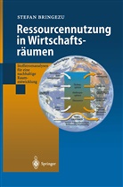 Stefan Bringezu - Ressourcennutzung in Wirtschaftsräumen