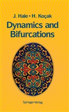 Jack Hale, Jack K Hale, Jack K. Hale, Hüseyin Kocak, H. Buttanri - Dynamics and Bifurcations
