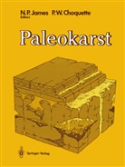 Philip W. Choquette, Noel P. James, Noe P James, Noel P James, W Choquette, W Choquette - Paleokarst