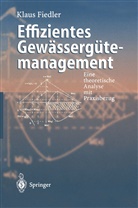 Klaus Fiedler - Effizientes Gewässergütemanagement