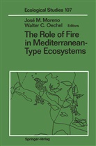 C Oechel, C Oechel, Jos M Moreno, Jose M Moreno, Jose M. Moreno, Walter C. Oechel - The Role of Fire in Mediterranean-Type Ecosystems