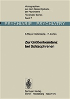 Rudolf Cohen, Susann Meyer-Osterkamp, Susanne Meyer-Osterkamp - Zur Größenkonstanz bei Schizophrenen