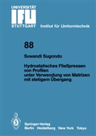 Suwandi Sugondo - Hydrostatisches Fließpressen von Profilen unter Verwendung von Matrizen mit stetigem Übergang