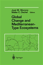 C Oechel, C Oechel, Jos Moreno, Jose Moreno, Walter C. Oechel - Global Change and Mediterranean-Type Ecosystems
