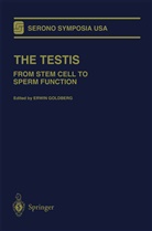 Erwi Goldberg, Erwin Goldberg - The Testis