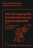 Lorenz, Lorenz, S. Lorenz, R Zellner, P R Zellner, P. R. Zellner... - Die Versorgung des Brandverletzten im Katastrophenfall Band 2