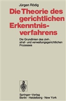 Jürgen Rödig - Die Theorie des gerichtlichen Erkenntnisverfahrens