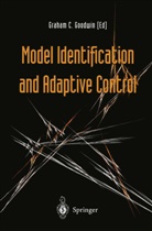 Graha Goodwin, Graham Goodwin, Graham C Goodwin, Graham C. Goodwin - Model Identification and Adaptive Control