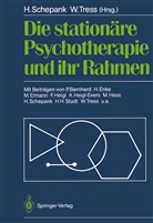 Hein Schepank, Heinz Schepank, Tress, Tress, Wolfgang Tress - Die stationäre Psychotherapie und ihr Rahmen