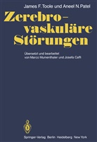A N Patel, A. N. Patel, A.N. Patel, J Toole, J F Toole, J. F. Toole... - Zerebro-vaskuläre Störungen