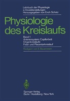 H. Bartels, R. D. Bauer, E Bauereisen, E. Bauereisen, K. Golenhofen, G. Hauck... - Lehrbuch der Physiologie in Einzeldarstellungen