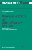 Michae Hofmann, Michael Hofmann - Theorie und Praxis der Unternehmensberatung