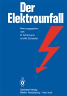 Brinkmann, K Brinkmann, K. Brinkmann, Schaefer, Schaefer, H. Schaefer - Der Elektrounfall
