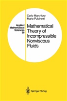 Carl Marchioro, Carlo Marchioro, Mario Pulvirenti - Mathematical Theory of Incompressible Nonviscous Fluids