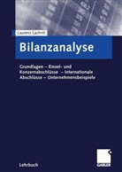 Laurenz Lachnit - Bilanzanalyse