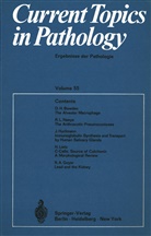 H - Altmann, H -W Altmann, H. -W. Altmann, Benirschke, K Benirschke, K. Benirschke... - Current Topics in Pathology / Ergebnisse der Pathologie