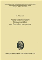 H P Schmitt, H. P. Schmitt, H.P. Schmitt, H.-P. Schmitt - Akute und intervalläre Strahlenschäden des Zentralnervensystems
