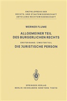 Werner Flume - Allgemeiner Teil des Bürgerlichen Rechts