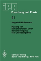 S Häussermann, S. Häussermann - Planung von Mehrstellenarbeit unter Berücksichtigung von Umfeldaufgaben