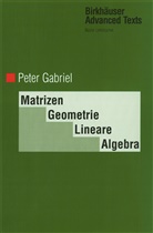 Peter Gabriel - Matrizen, Geometrie, Lineare Algebra