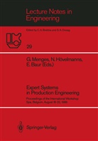 Erwin Baur, Norber Hövelmanns, Norbert Hövelmanns, Georg Menges - Expert Systems in Production Engineering