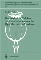Joachim Radke - Das ionisierte Calcium im Extrazellularraum bei Hypothermie und Azidose