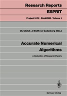 Christia Ullrich, Christian Ullrich, Wolff von Gudenberg, Wolff von Gudenberg, Jürgen Wolff von Gudenberg - Accurate Numerical Algorithms