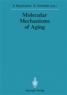 Konra Beyreuther, Konrad Beyreuther, Schettler, Schettler, Gotthard Schettler - Molecular Mechanisms of Aging