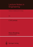 Carlos M Lemos, Carlos M. Lemos - Wave Breaking