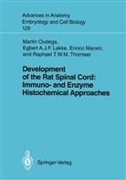 Martin Bach, Martin F Bach, Martin F. Bach, Egbert A J Lakke, Egbert A J F Lakke, Egbert A. J. F. Lakke... - Development of the Rat Spinal Cord: Immuno- and Enzyme Histochemical Approaches