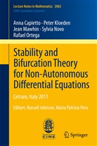 Ann Capietto, Anna Capietto, Pete Kloeden, Peter Kloeden, Jean Mawhin, Jean et al Mawhin... - Stability and Bifurcation Theory for Non-Autonomous Differential Equations