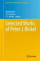 C F Jeff Wu, Jianqing Fan, Ya'aco Ritov, Ya'acov Ritov, C. F. Jeff Wu, C.F. Jeff Wu - Selected Works of Peter J. Bickel