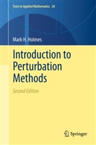 Mark H Holmes, Mark H. Holmes - Introduction to Perturbation Methods