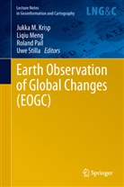 Jukka M. Krisp, Liqi Meng, Liqiu Meng, Roland Pail, Roland Pail et al, Uwe Stilla - Earth Observation of Global Changes (EOGC)