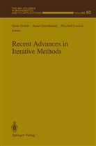 Gene Golub, Ann Greenbaum, Anne Greenbaum, Mitchell Luskin - Recent Advances in Iterative Methods