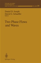 Danie D Joseph, Daniel D Joseph, G Schaeffer, G Schaeffer, Daniel D. Joseph, David Schaeffer... - Two Phase Flows and Waves