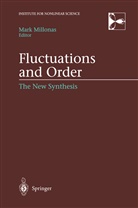 Mar Millonas, Mark Millonas - Fluctuations and Order