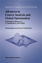 Nicola Hadjisavvas, Nicolas Hadjisavvas, M Pardalos, M Pardalos, Panos Pardalos, Panos M. Pardalos - Advances in Convex Analysis and Global Optimization