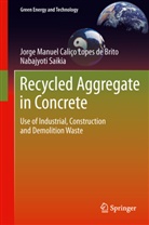 Jorge de Brito, Jorg de Brito, Jorge De Brito, Nabajyoti Saikia - Recycled Aggregate in Concrete