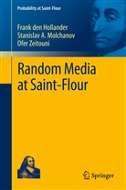 Fran den Hollander, Frank den Hollander, Frank den Hollander, Stanislav Molchanov, Stanislav A Molchanov, Stanislav A. Molchanov... - Random Media at Saint-Flour