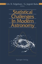 G. Jogesh Babu, G.Jogesh Babu, Eri D Feigelson, Eric D Feigelson, Eric D. Feigelson, Jogesh Babu... - Statistical Challenges in Modern Astronomy