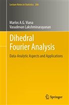 Vasudevan Lakshminarayanan, Marlos A Viana, Marlos A G Viana, Marlos A. G. Viana - Dihedral Fourier Analysis