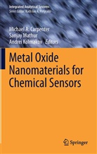 Michael A. Carpenter, Andrei Kolmakov, Sanja Mathur, Sanjay Mathur - Metal Oxide Nanomaterials for Chemical Sensors