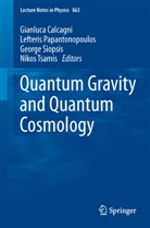 Gianluca Calcagni, Lefeteris Papantonopoulos, Lefteri Papantonopoulos, Lefteris Papantonopoulos, George Siopsis, George Siopsis et al... - Quantum Gravity and Quantum Cosmology