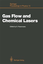 Salma Rosenwaks, Salman Rosenwaks - Gas Flow and Chemical Lasers
