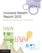 United Nations University International Human Dime, UN University International Human Dimensions Prog, UNITED NATIONS UNIVERSITY INTERNAT, United Nations University International Human Dime, United Nations University United Nations Environme, United Nations Environment Programme... - Inclusive Wealth Report 2012