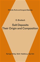 O Braitsch, O. Braitsch - Salt Deposits Their Origin and Composition