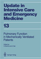 Salvado Benito, Salvador Benito, Net, Net, Alvar Net - Pulmonary Function in Mechanically Ventilated Patients
