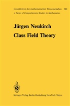 J Neukirch, J. Neukirch - Class Field Theory