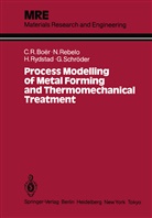 Claudio Boer, Claudio R Boer, Claudio R. Boer, Claudio R. Boër, Nuno M R Rebelo, Nuno M R S Rebelo... - Process Modelling of Metal Forming and Thermomechanical Treatment